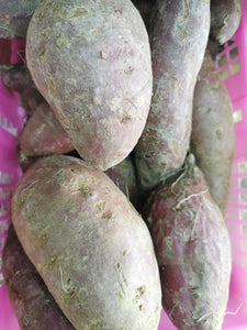紫薯500g-1公斤（batata violeta500g-1kg）
