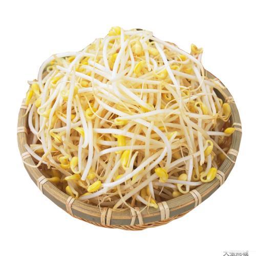 黄豆芽350g (Brotes de soja amarilla 500g)